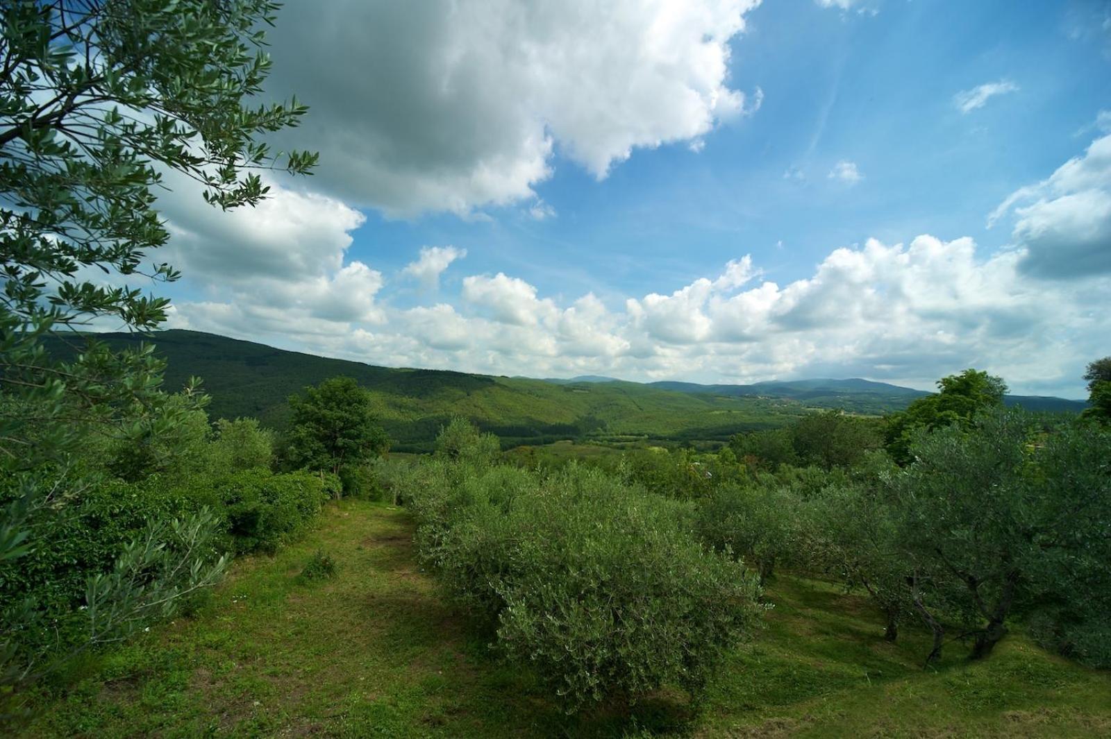 Hotel Girifalco - Nature & Relax Massa Marittima Exterior photo